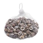 Ракушки декоративные 100гр, 2AR122