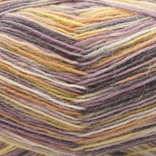 Пряжа Astra Premium (Астра Премиум) Карелия носочная (Karelia sock) / уп.2 мот. по 100 г, 400 м, 1003