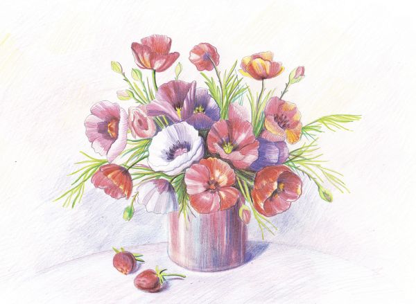 Скетч для раскрашивания цветными карандашами Фрея, RPSС-0026 Любимые маки 29.7х21 см, 1 л