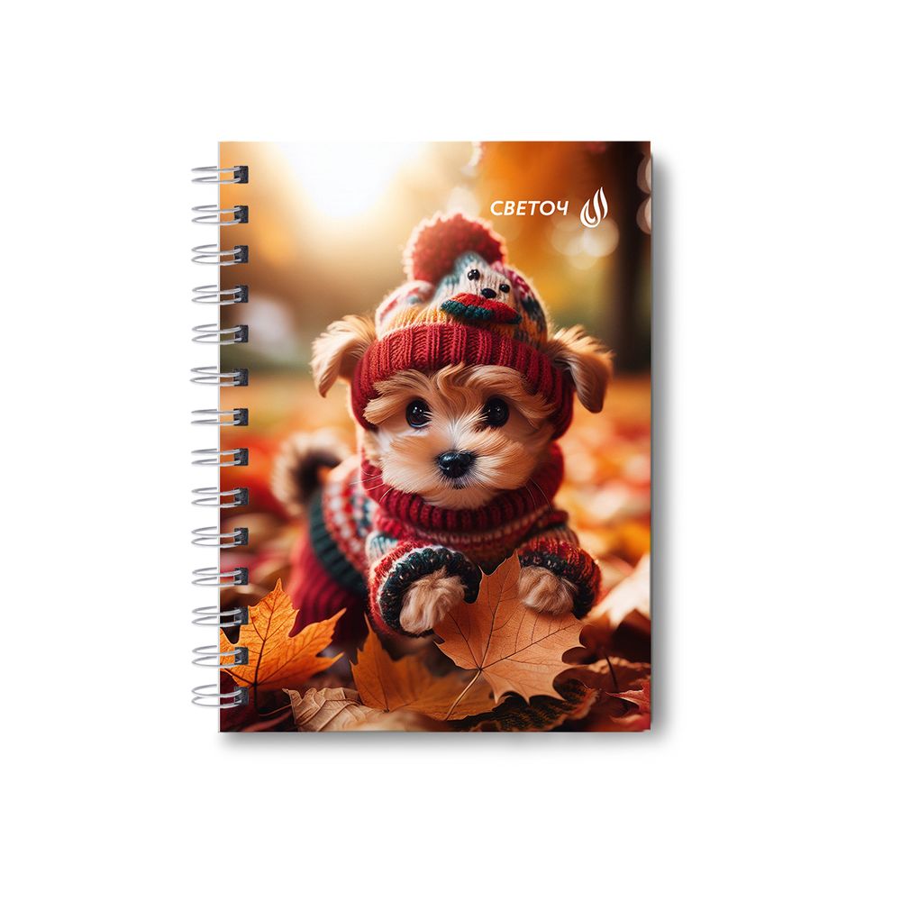 Записная книжка с твердым переплетом, глянцевая ламинация, на гребне A6 80 л. 4 шт клетка, Осенние модники 01588, ЗК221 Светоч