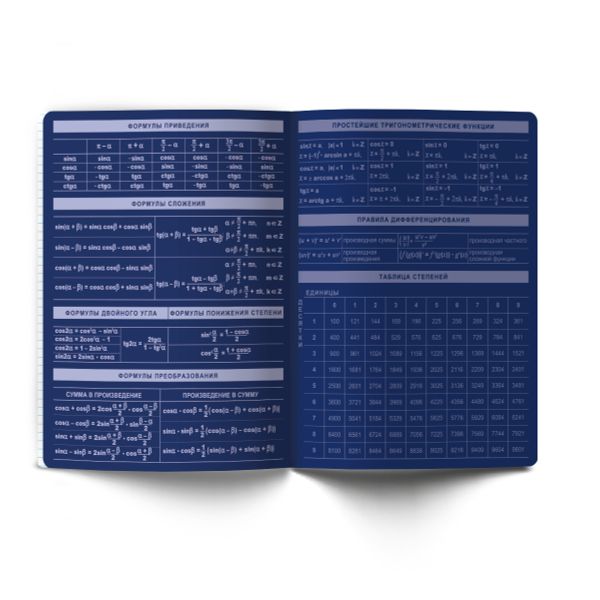 Комплект тетрадей со справочными материалами Золотые главы, тисн.золот.фольгой, A5 48 л. 12 шт на скобе 65 г/м², белизна 100% 1 шт, клетка/линия, 01887 12 предметов, Светоч Т298