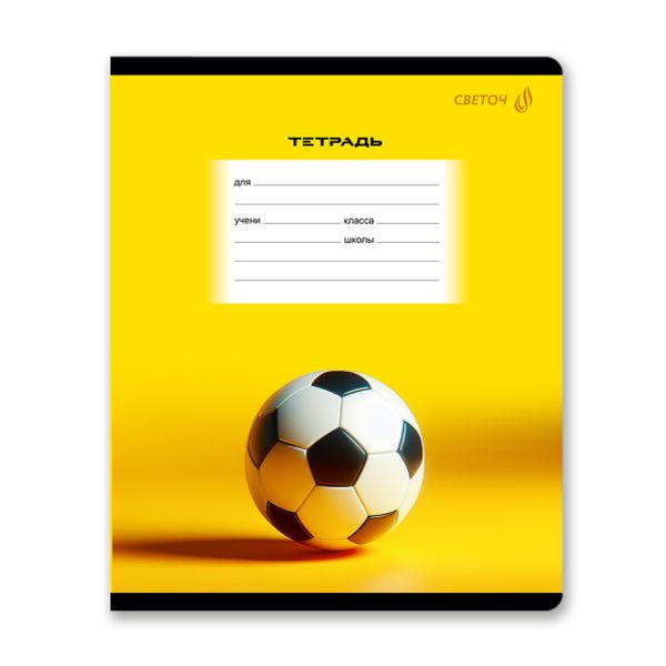 Тетрадь ученическая школьная, выборочный лак, A5 18 л. на скобе 65 г/м², белизна 100% 20 шт клетка, 01419 Моё хобби, Светоч Т86