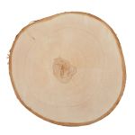 Срез дерева d. 20±3, 1 шт, береза, Blumentag Срез-26