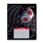 Тетрадь ученическая школьная A5+ 24 л. на скобе 65 г/м², белизна 100 %, 15 шт, клетка, 01116 Микс-Экстрим-хобби, Светоч Т72