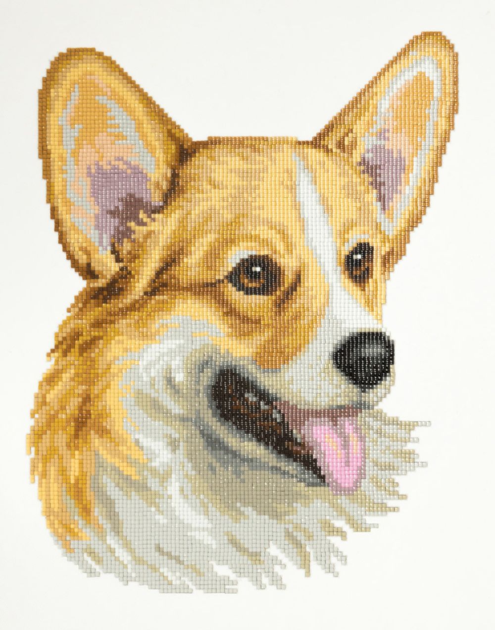 Алмазная (кристальная) мозаика Фрея, Веселый вельш-корги, 30х35 см