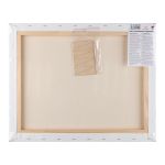 Холст грунтованный на подрамнике 40х50 см, 320 г/м², 2 шт, мелкозернистый, Vista-Artista ACFG-4050