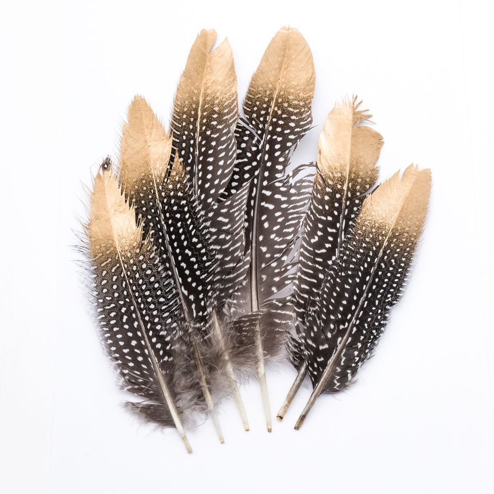 Перо цесарки обработанное с золотым кончиком, 17-20см, 6 шт, XQ-660324