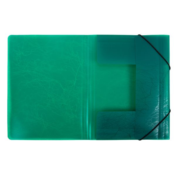 Папка на резинке A4 600 мкм 35 мм, волокно, 5 шт, зеленый new EC21043003, Expert Complete