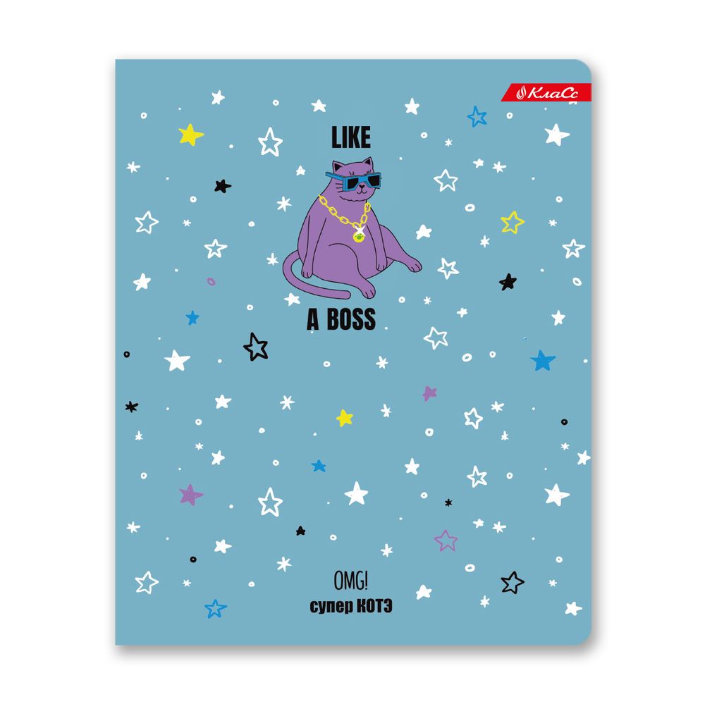 Тетрадь ученическая общая, матовая ламинация + выборочный УФ лак, A5+ 48 л. на скобе, белизна 100%, 10 шт, клетка, 000326 Суперкот, Светоч 48ТСК5_24_3_1