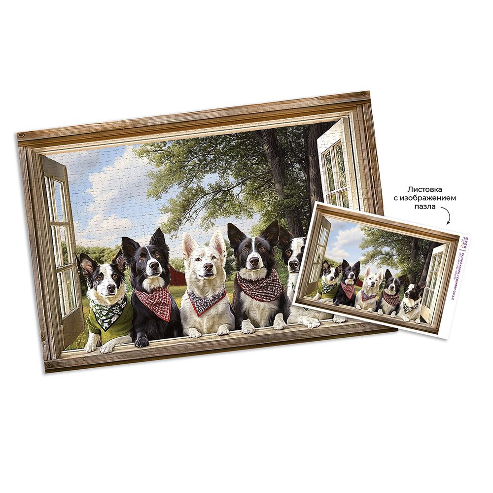 Пазл 1500 элементов, PZL-1500/39 Кантри-колли, Фрея