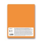 Тетрадь предметная Грызем гранит науки A5+ 48 л. на скобе, 10 шт, клетка, История 48ТСК5 000176, Светоч