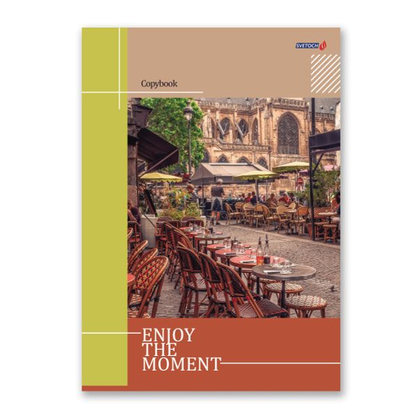 Тетрадь ученическая общая, матовая ламинация, A4 80 л. на скобе 65 г/м², белизна 100%, 6 шт, клетка, 000462 Лови момент, Светоч 80ТСК4_2_2_1