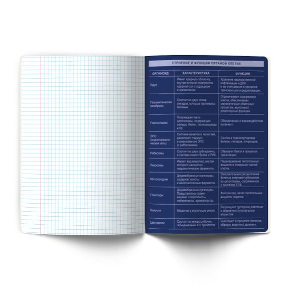 Тетрадь со справочным материалом Золотые главы, тисн.золот.фольгой, A5 48 л. на скобе 65 г/м², белизна 100% 10 шт клетка, 01849 Золотые главы Биология, Светоч Т286