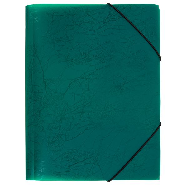 Папка на резинке A4 600 мкм 35 мм, волокно, 5 шт, зеленый new EC21043003, Expert Complete