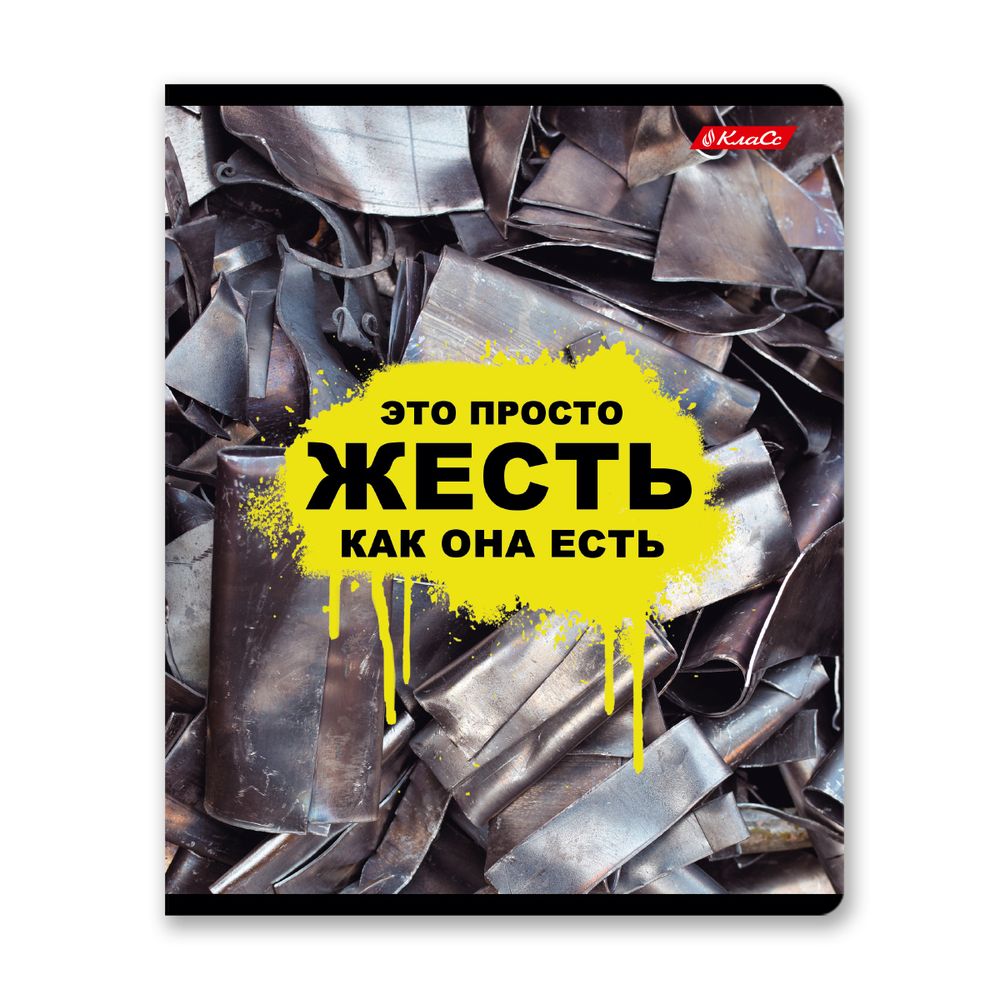 Тетрадь ученическая общая, твин лак, A5+ 60 л. на скобе 65 г/м², белизна 100%, 10 шт, клетка в термоусадочной пленке, 000480 Жесть, Светоч 60ТСК5_8_2_1