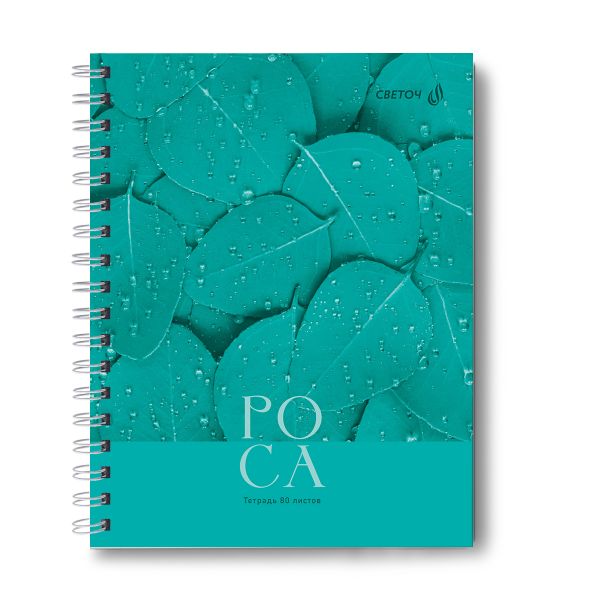Тетрадь общая с твердой обложкой, матовая ламинация A5 80 л. на гребне 65 г/м², белизна 100% 4 шт клетка, 01559 Холодная роса, Светоч Т214