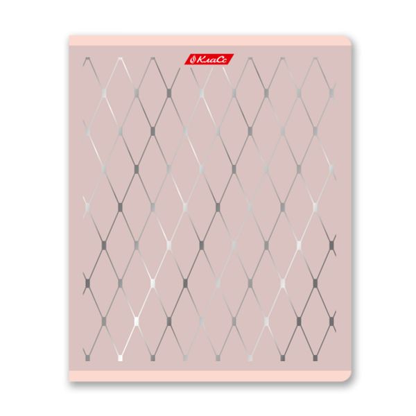 Тетрадь ученическая общая, матовая ламинация + тиснение серебряной фольгой, A5+ 48 л. на скобе 65 г/м², белизна 100%, 10 шт, клетка в термоусадочной пленке, 000743 Серебряная мечта, Светоч 48ТЕТк-007