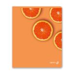 Тетрадь ученическая общая, матовая ламинация, A5+ 96 л. на скобе 65 г/м², белизна 100 %, 5 шт, клетка, 01005 Абрикосовый краш, Светоч 96Т16