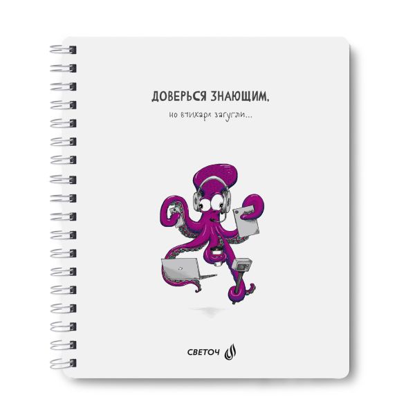 Тетрадь общая с запечатан. пластиковой обложкой, 500 мкр, A5+ 96 л. на гребне 65 г/м², белизна 100 %, 4 шт, клетка, 01088 Загугли, Светоч ТЕТ96-002