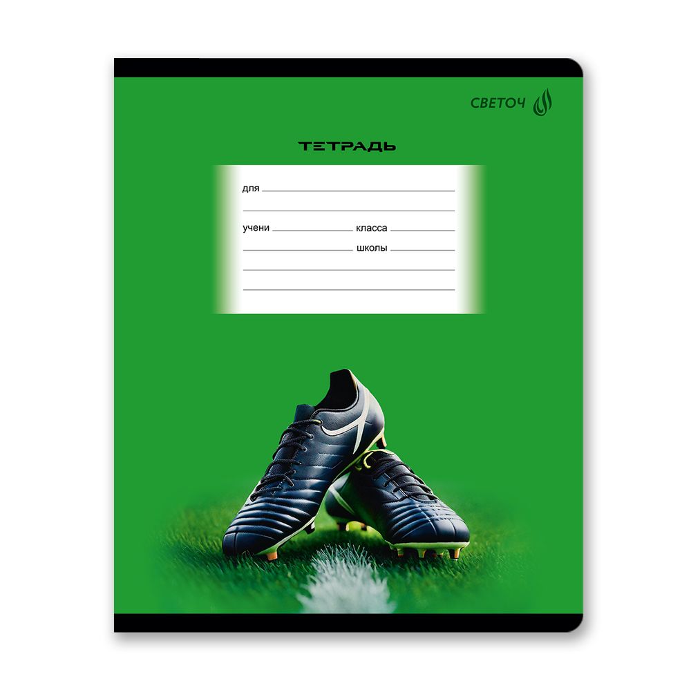 Тетрадь ученическая школьная, выборочный лак, A5 18 л. на скобе 65 г/м², белизна 100% 20 шт клетка, 01419 Моё хобби, Светоч Т86