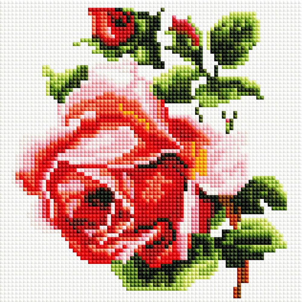 Белоснежка, Изящная роза 20х20см