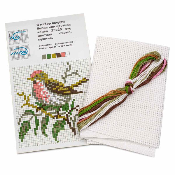 Набор для вышивания нитками РС Студия, Чечетка 13х12 см