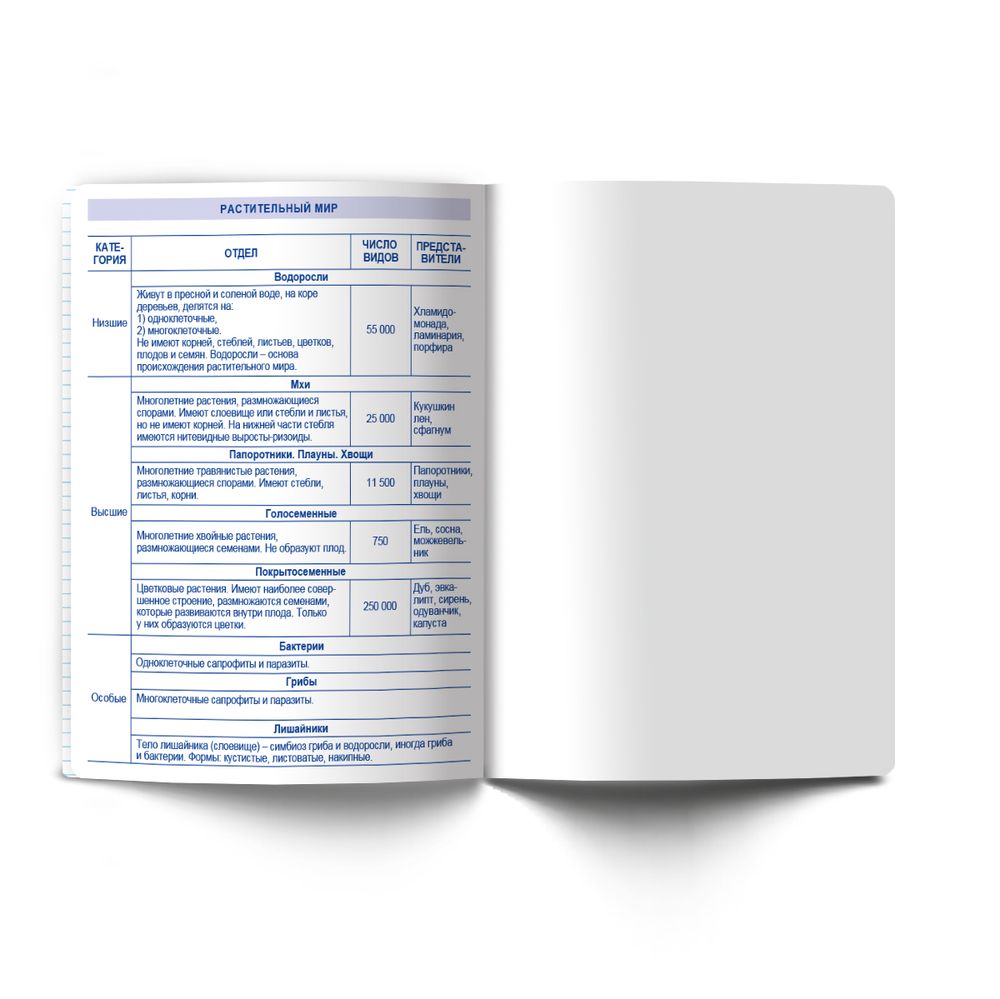 Тетрадь со справ.материал. Яркость по расписанию с запечат. пластик.обл. 320мкм, A5 48 л. на скобе 65 г/м², белизна 100% 10 шт, клетка, 01861 Яркость по расписанию Биология, Светоч Т288