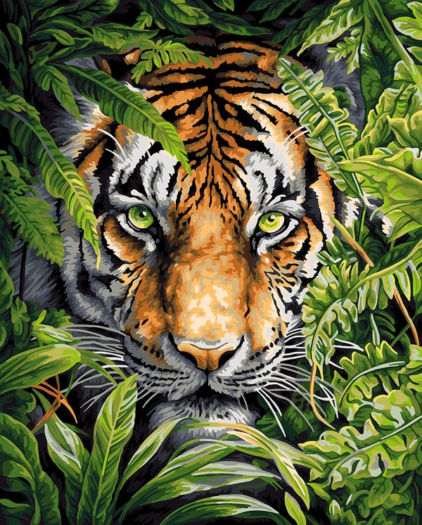 Картина по номерам Фрея PNB/PLC-274, Затаившийся тигр, (цветной холст) 50х40 см