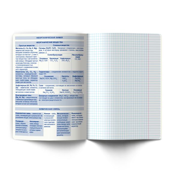 Тетрадь со справочным материалом Огромный мир внутри, A5 48 л. на скобе 60 г/м², белизна 90% 10 шт клетка, 01806 Огромный мир внутри Химия, Светоч Т278