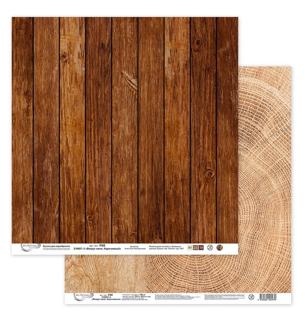 Бумага для скрапбукинга Вокруг меня. Коричневый 190 г/м², 30.5х30.5 см, 10 шт, 3, Mr.Painter PSR 210807