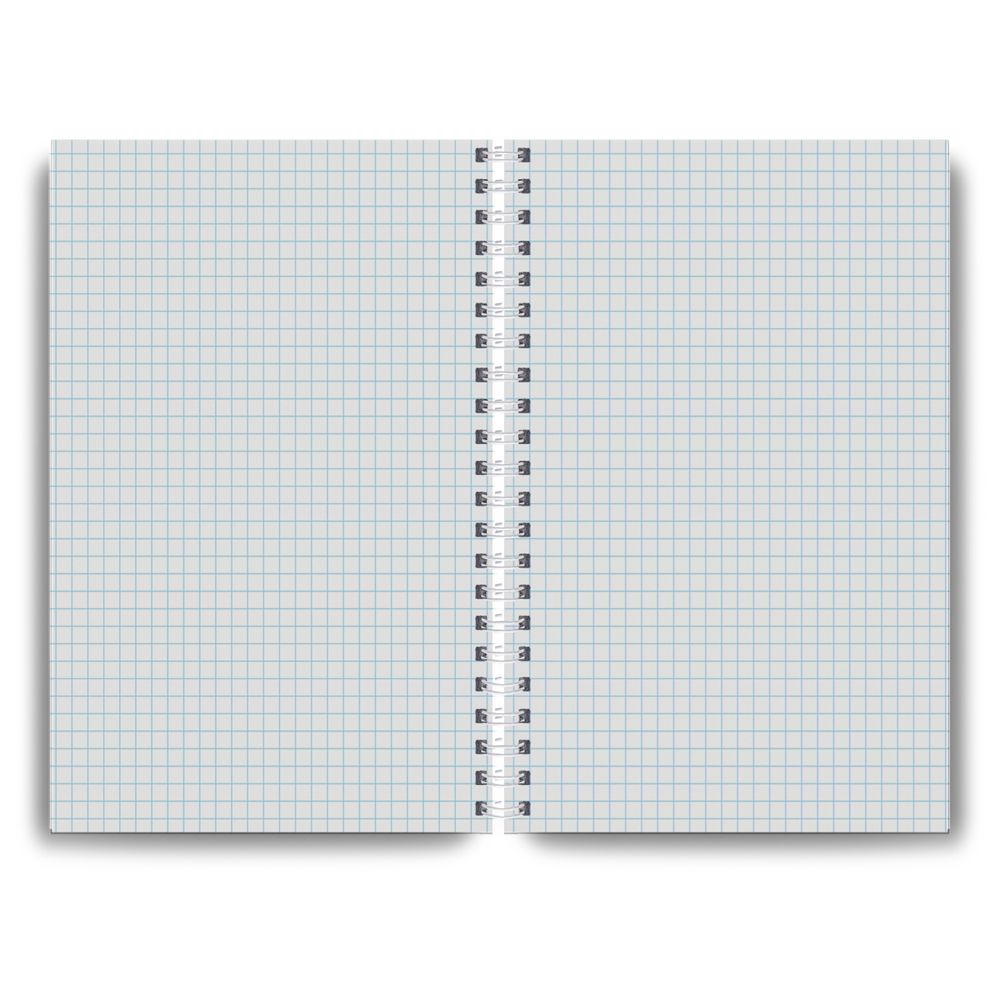 Тетрадь общая с твердой обложкой, матовая ламинация A4 160 л. на гребне 65 г/м², белизна 100% 2 шт клетка, 01578 Горный пейзаж, Светоч Т220