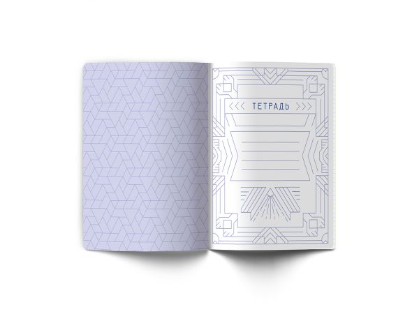 Тетрадь со справочным материалом Линия успеха, софт тач ламинация + тиснение фольгой, A5+ 48 л. на скобе 65 г/м², белизна 100%, 10 шт, клетка, 000573 География, Светоч 48ТПСК5_126_2_1