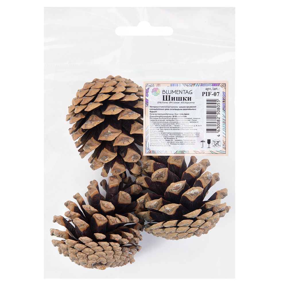 Шишки крымской сосны, 3 шт, 120 г, ± 10 г, 8 см, ± 2, 01, Blumentag PIF-07