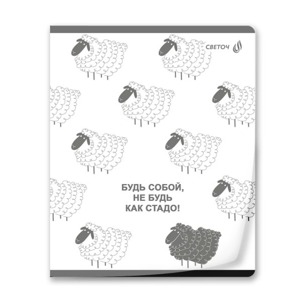 Тетрадь общая с пластиковойобложкой 180 мкр, ч/б запечат. титульн.лист, A5 60 л. на скобе 65 г/м², белизна 100 %, 10 шт, клетка, 01107 Микс - У нас на районе, Светоч Т64