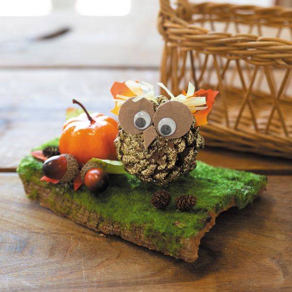 Кора дерева для декора, FBC-01, 4 шт, Blumentag FBC-01