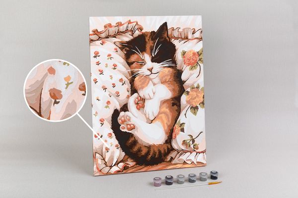 Картина по номерам Фрея PNB/PM-214, Сны котика, 40х30 см