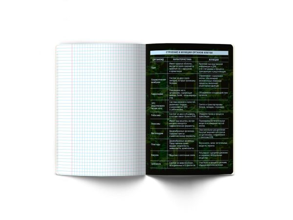 Тетрадь со справочным материалом Эволюция, глянцевая ламинация, A5+ 48 л. на скобе 65 г/м², белизна 100%, 10 шт, клетка, 00877 Биология, Светоч 48Т5