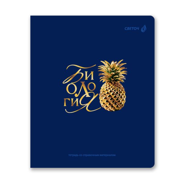 Комплект тетрадей со справочными материалами Золотые главы, тисн.золот.фольгой, A5 48 л. 12 шт на скобе 65 г/м², белизна 100% 1 шт, клетка/линия, 01887 12 предметов, Светоч Т298