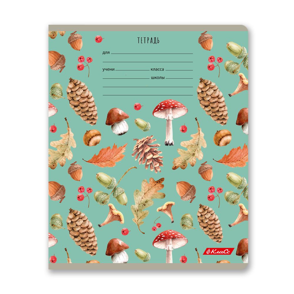 Тетрадь ученическая школьная, выборочный лак, A5+ 24 л. на скобе 65 г/м², белизна 100% 30 шт, клетка, 000715 Живой лес, Светоч 24ТЕТк-003