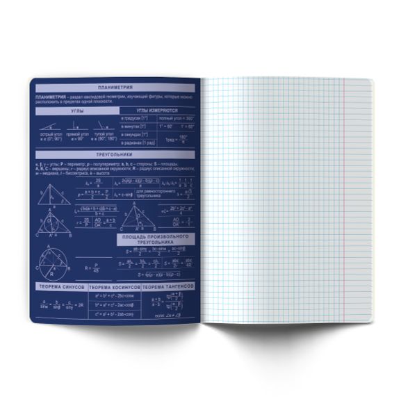 Тетрадь со справочным материалом Золотые главы, тисн.золот.фольгой, A5 48 л. на скобе 65 г/м², белизна 100% 10 шт клетка, 01851 Золотые главы Геометрия, Светоч Т286
