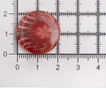 Пуговицы на ножке 34L 12 шт, C850 терракотовый