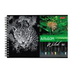 Альбом для рисования, 100 г/м², A4 29х20.5 см, на гребне 40 л., 6 шт, 40АЛГР4_000244 Саванна, Светоч