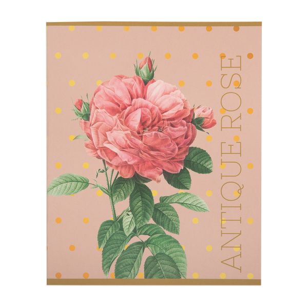 Тетрадь Цветы A5 48 л. на скобе 60 г/м², 10 шт, клетка, SVT 481421 04 т.желтый, Светоч