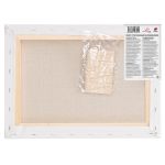 Холст грунтованный на подрамнике 35х50 см, 570 г/м², 2 шт, Слободской крупнозернистый, Vista-Artista AMLG-3550