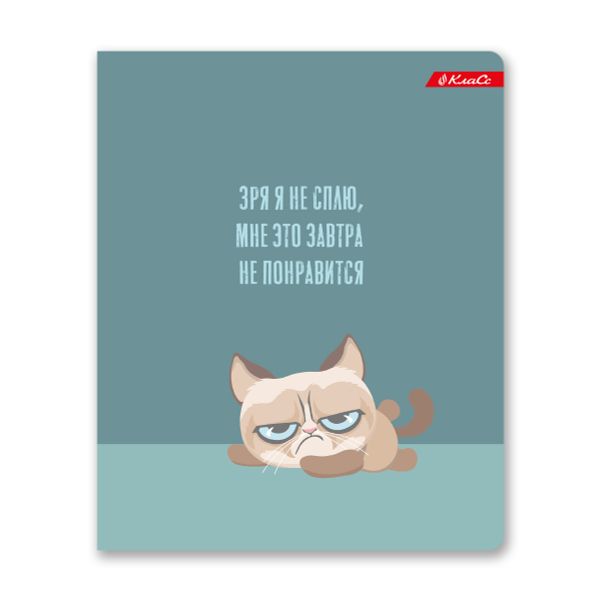 Тетрадь ученическая общая, софт тач, A5+ 96 л. на скобе, белизна 100%, 5 шт, клетка, 000350 Кот-пофигист, Светоч 96ТСК5_12_3_1