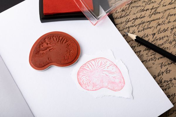 Штамп 5.8х5.8 см, 07 Морская раковина, Mr.Painter TSM-03