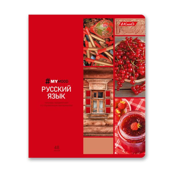 Тетрадь со справочным материалом Доска желаний, A5+ 48 л. на скобе 60 г/м², белизна 90%, 10 шт, линия, 000517 Русский язык, Светоч 48ТПСКд5_0_2_2