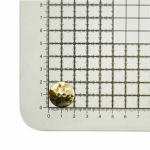 Пуговицы 2 прокола Ракушка 32L, 20 мм, (agoya), CN-S002, 144 шт