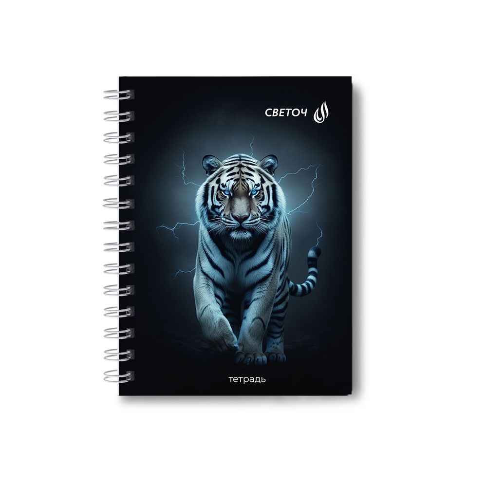 Записная книжка с твердым переплетом, матовая ламинация, на гребне A6 80 л. 4 шт клетка, Сила и смелость 01581, ЗК223 Светоч