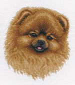 Набор для вышивания нитками Panna, Шпиц, 17х20,5 см